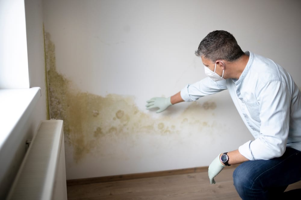 Technician wearing protective gloves and a mask inspects mold growth and water damage on an interior wall.