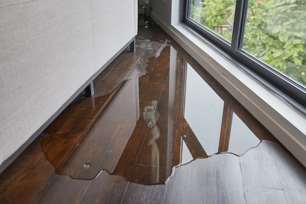 water damage leaking on wood floor